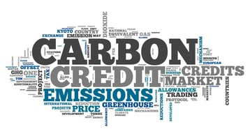 Word cloud related to carbon credits and CO2 emissions